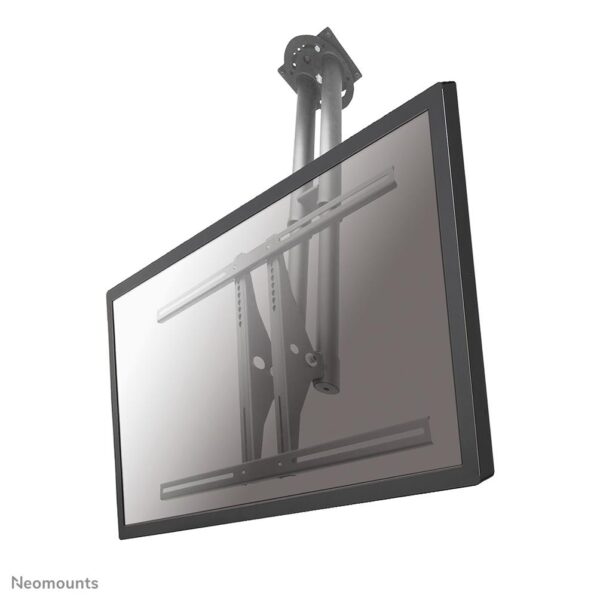 Neomounts | Laekinnitus | PLASMA-C100 | 37-75" | Must