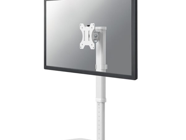 Neomounts | Lauakinnitus | FPMA-D890WHITE | 10-30" | Valge