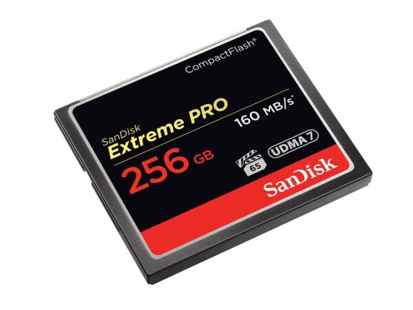 SanDisk | CompactFlash mälukaart 256GB | SDCFXPS-256G-X46