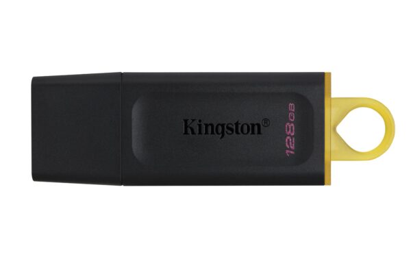 Kingston USB mälupulk 128GB DTX