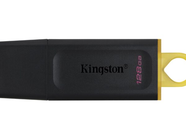 ELKO: 1312733 Kingston USB mälupulk 128GB DTX