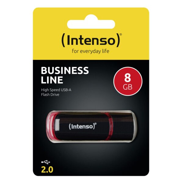 Intenso USB mälupulk 8GB