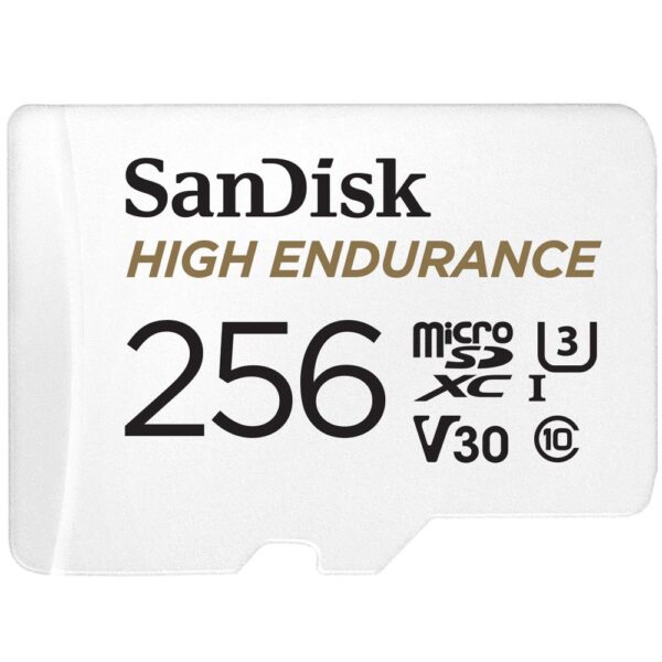SanDisk | microSDXC mälukaart 256GB | UHS-3 | SDSQQNR-256G-GN6IA