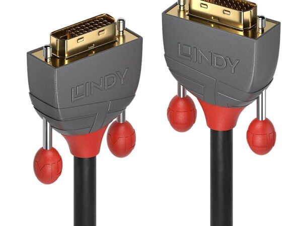 Lindy DVI-D kaabel 2m Anthra 36222