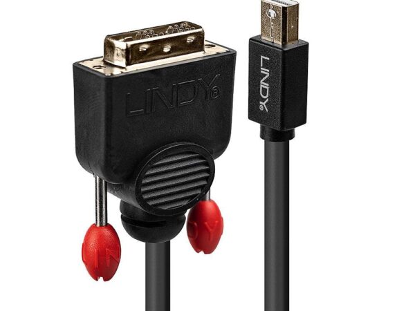 Lindy Mini DisplayPort → DVI kaabel 2m