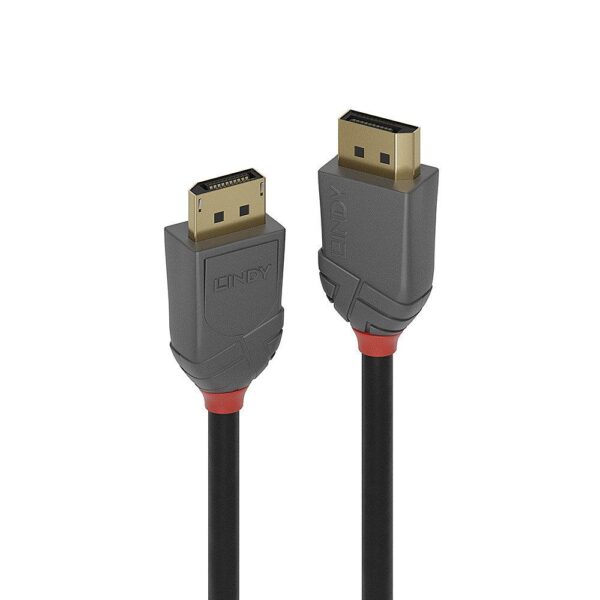 Lindy DisplayPort kaabel 1m
