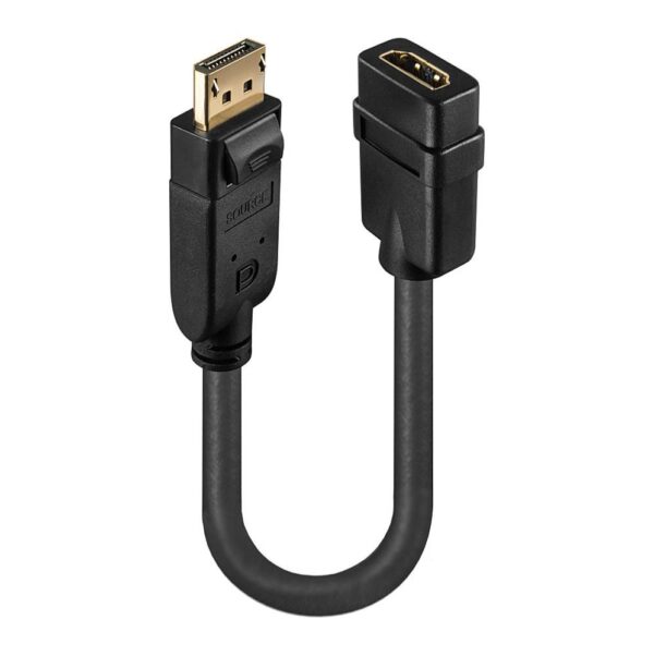 Lindy DisplayPort HDMI adapter