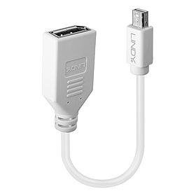Lindy Mini DisplayPort to DisplayPort adapter 0.2m 41021