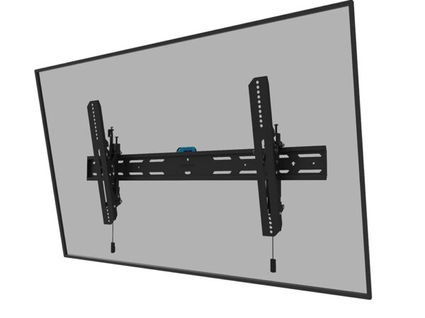 Neomounts | Seinakinnitus | WL35S-850BL18 | Must