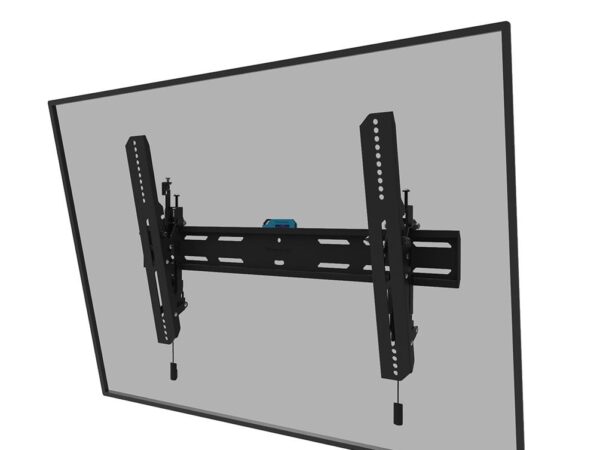 Neomounts | Seinakinnitus | WL35S-850BL16 | Must