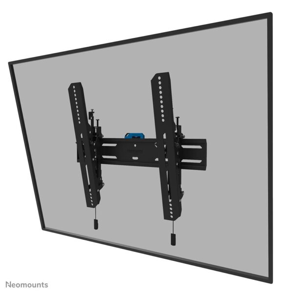 Neomounts | Seinakinnitus | WL35S-850BL14 | Must