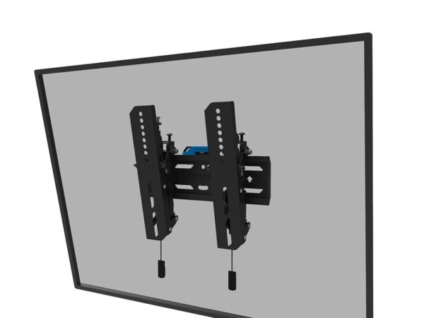 Neomounts | Seinakinnitus | WL35S-850BL12 | Must