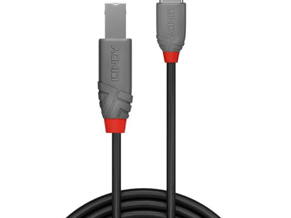 Lindy | USB2 C-B kaabel | 36940 | 0.5m | Anthra