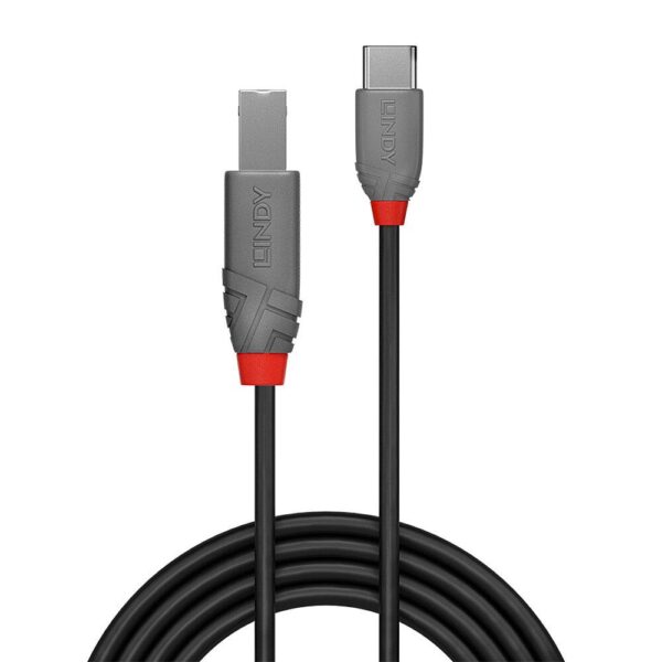 Lindy | USB2 C-B kaabel | 36940 | 0.5m | Anthra