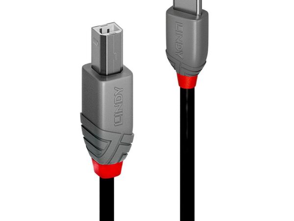 Lindy | USB2 C-B kaabel | 36942 | 2m | Anthra