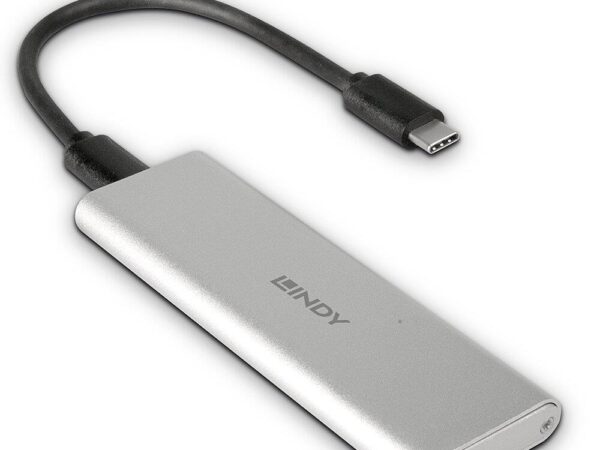 Lindy USB 3.2 to SSD konverter 43332