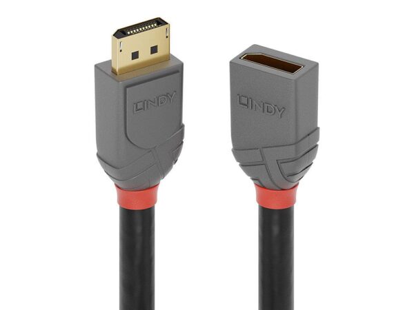 Lindy DisplayPort pikenduskaabel 1m Anthra 36496