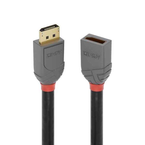 Lindy DisplayPort pikenduskaabel 1m Anthra 36496