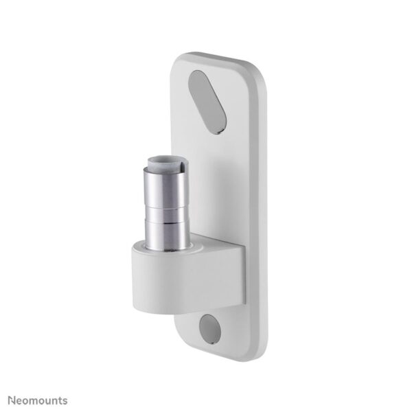 Neomounts monitori seinakinnitusadapter AWL75-450WH valge