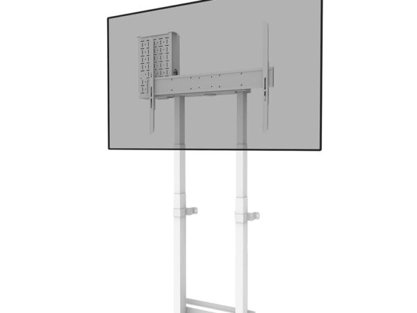 Neomounts | Seinakinnitus | WL55-875WH1 | Valge