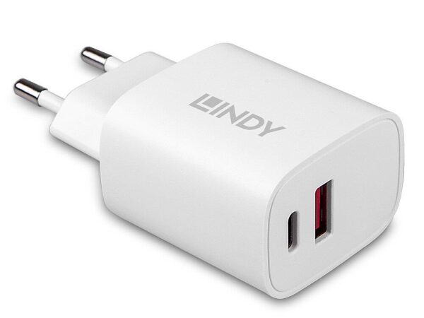 Lindy seinlaadija 20W