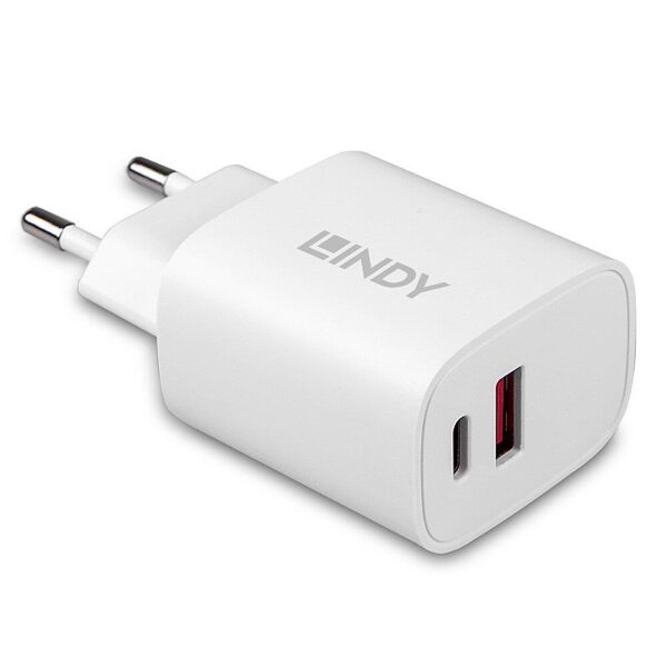 Lindy seinlaadija 20W