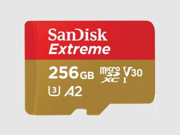 SanDisk | microSDXC mälukaart 256GB | UHS-I adapteriga | SDSQXAV-256G-GN6MA