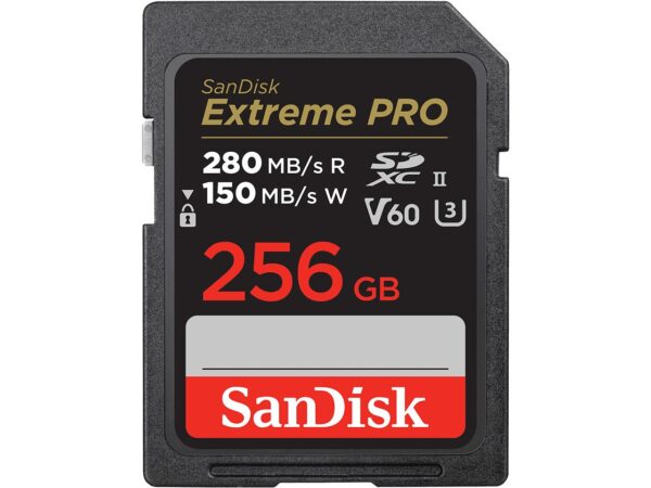 ELKO: 1395509 SanDisk | SDXC mälukaart 256GB | UHS-II | SDSDXEP-256G-GN4IN