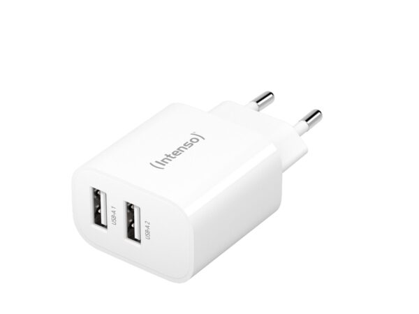 ELKO: 1401506 Intenso USB laadija 2x USB-A