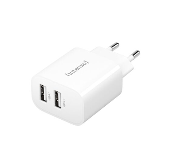 Intenso USB laadija 2x USB-A