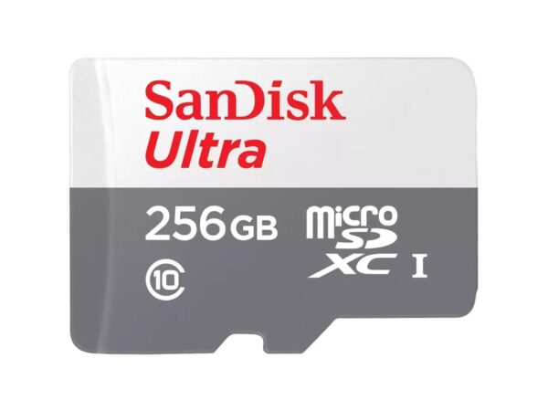 SanDisk | microSDXC mälukaart 256GB | UHS-I | SDSQUNR-256G-GN3MN
