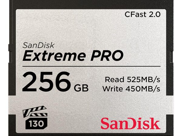 SanDisk | CompactFlash mälukaart 256GB | SDCFSP-256G-G46D