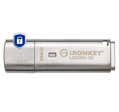 Kingston 256gb usb 3.2 mälupulk IKLP50/256GB
