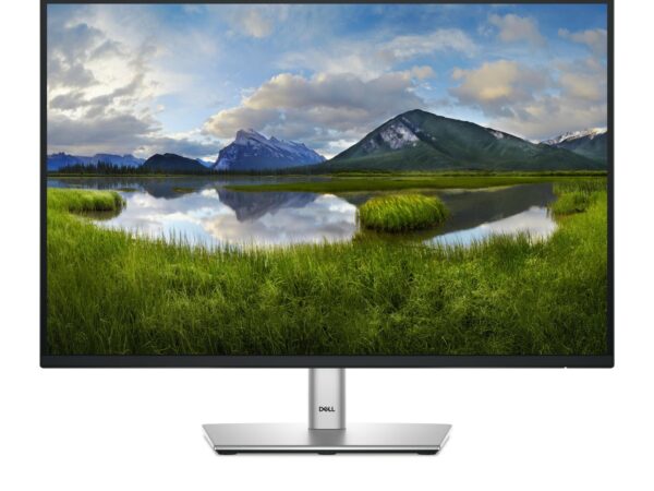 ELKO: 1414048 Dell P2425E 24" monitor