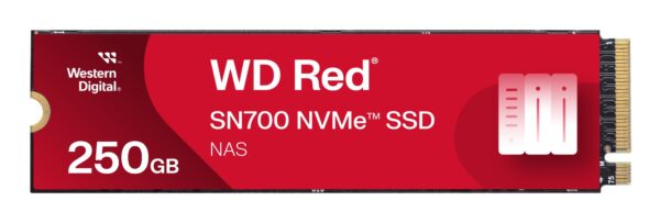 SanDisk Red SN700 250GB NVMe SSD