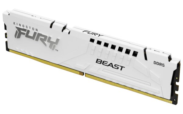 Kingston Fury Beast White RGB 16GB DDR5-6000 mälu