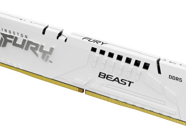 Kingston Fury Beast White RGB 16GB DDR5-6000 mälu