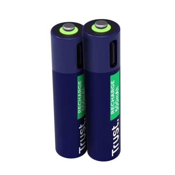 Trust AAA akud USB-C 2tk