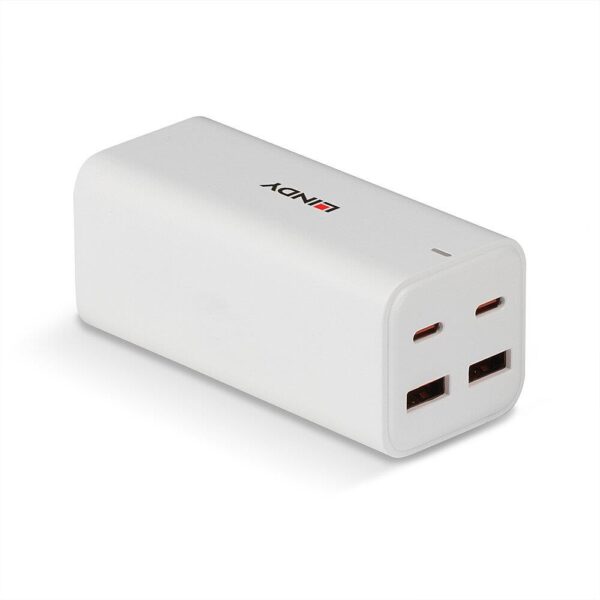 Lindy USB laadija 4-port 100W 73441