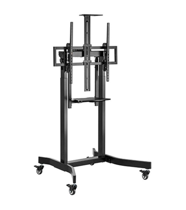 Gembird | Reguleeritava kõrgusega põrandastatiiv | TVS-100T-01 | 55-100" | Must