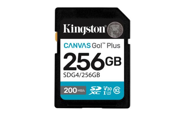 Kingston | SDXC mälukaart 256GB | UHS-I | SDG4/256GB