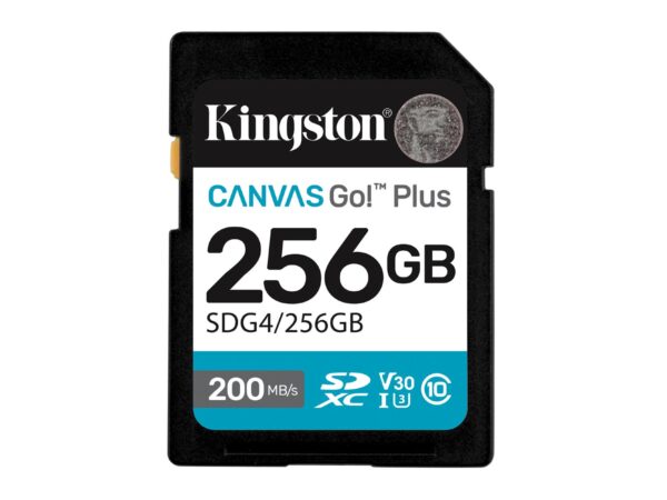 Kingston | SDXC mälukaart 256GB | UHS-I | SDG4/256GB