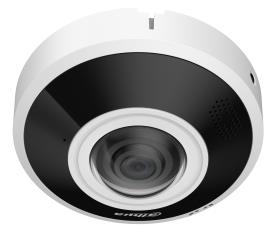 ELKO: 1440370 Dahua IPC-EBW5641-AS 6MP fisheye dome kaamera
