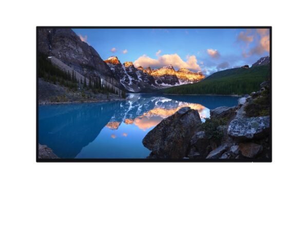 ELKO: 1441489 Dell U2424H 23.8" IPS monitor