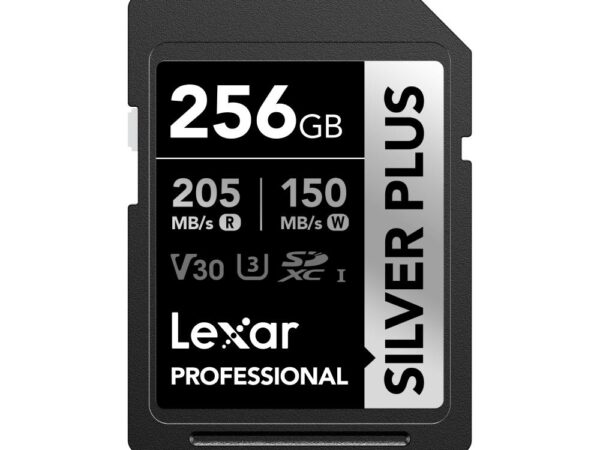 ELKO: 1441629 Lexar | SDXC mälukaart 256GB | UHS-I | LSDSIPL256G-BNNNG