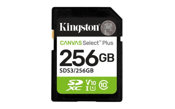 Kingston | SDXC mälukaart 256GB | UHS-I | SDS3/256GB