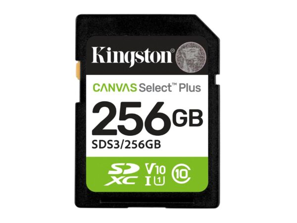 Kingston | SDXC mälukaart 256GB | UHS-I | SDS3/256GB