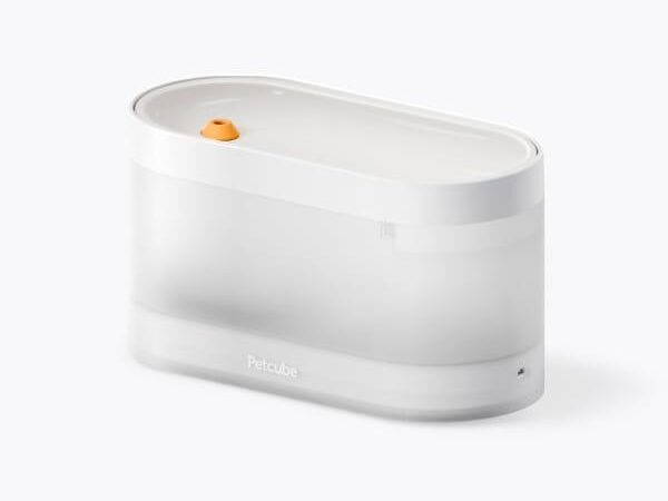 Lemmiklooma joogifontään Petcube PWF10 terasest