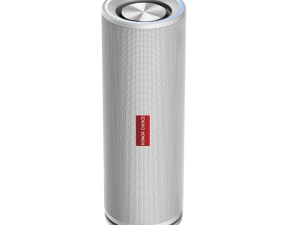 ELKO: 1447403 Honor Choice kaasaskantav kõlar 5504AAVM valge