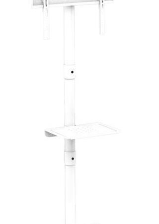 ELKO: 1454831 Gembird | Põrandastatiiv | TVS-55T-03-W | 32-55" | Valge